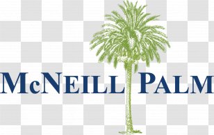 Interior Design Services Studio Company McNeill Palm Transparent PNG