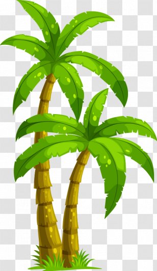 Coconut Arecaceae Tree Clip Art - Cartoon - Great Fresh Transparent PNG