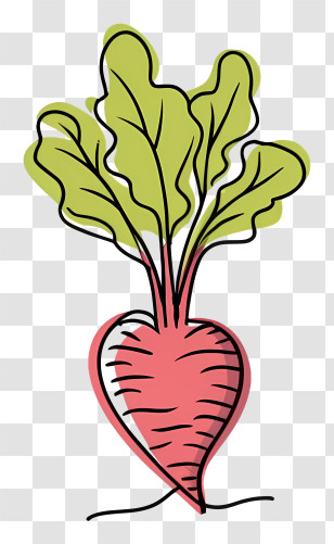 Cartoon - Cartoon Beetroot With Leaves Design Transparent PNG