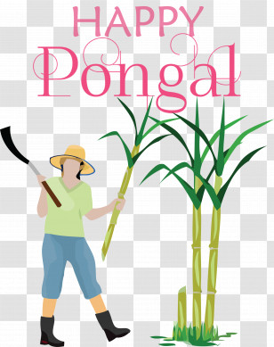 pongal sugar cane png