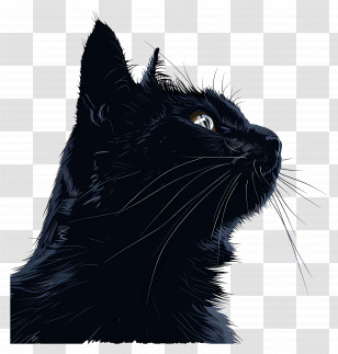 Cat - Black Cat Silhouette Transparent PNG