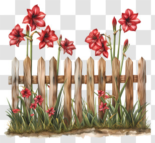 Garden Fence - Red Flowers By A Wooden Fence Transparent PNG