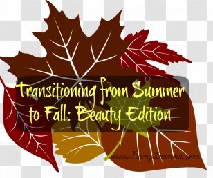 Leaf Brown Tree Font Transparent PNG