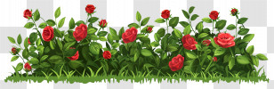 Rose Bush - Lush Garden With Red Roses Transparent PNG