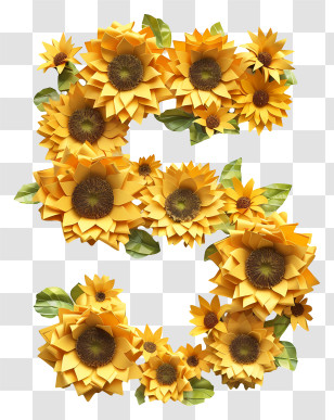 Number 5 Flowers - Sunflower Letter S Design Transparent PNG
