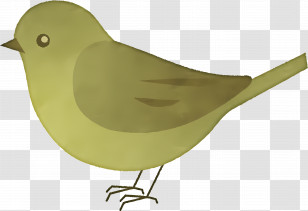 Cartoon Bird - Minimalistic Green Bird Illustration Transparent PNG