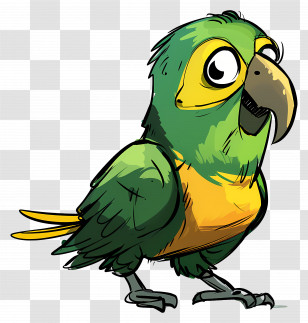 Bird - Green And Yellow Cartoon Parrot Illustration Transparent PNG