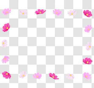 Cosmos Flower Frame - Pink Flower Frame Transparent PNG