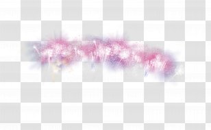 Petal Pattern - Purple - Color Splash Fireworks Transparent PNG
