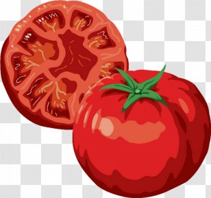 Plum Tomato Pizza Vegetable Italian Cuisine - Salad - Cake Transparent PNG