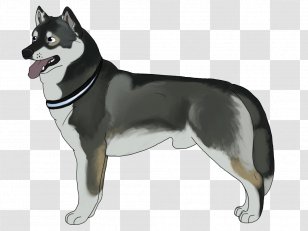 Siberian Husky Dog Breed East Laika West Tamaskan - Agouti Graphic Transparent PNG