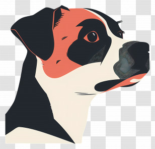 Dog Head - Black And White Dog Portrait Transparent PNG