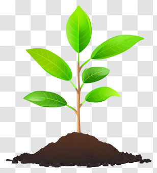 Planting Tree Icon - Young Plant Sprouting In Soil Transparent PNG