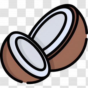 Coconut Shell - Halved Coconut Transparent PNG