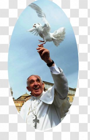 Pope Francis Vatican City Institute For The Works Of Religion Catholic Church - Assisi Transparent PNG