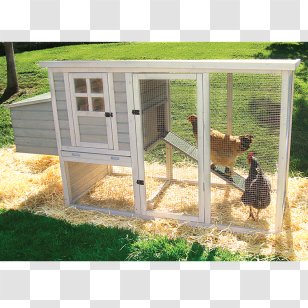 Chicken Coop Tractor Chickens As Pets Building Transparent PNG