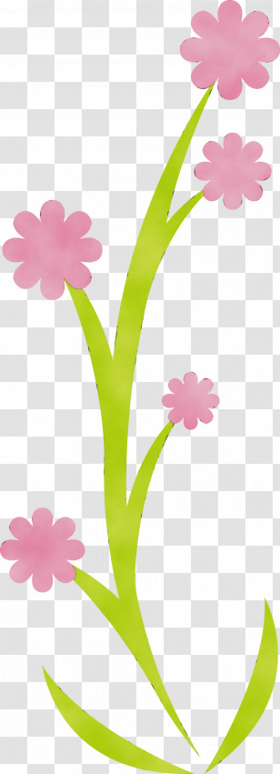 Floral Design Transparent PNG