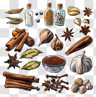 Spices - Illustrated Spices And Herbs Collection Transparent PNG