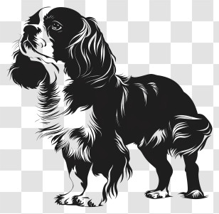 Dog Silhouette - Detailed Black And White Dog Silhouette Graphic Transparent PNG