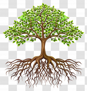 Tree With Roots - Tree With Roots And Leaves Illustration Transparent PNG