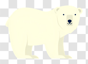Keywords White Bear - Polar Bear In Arctic Illustration Transparent PNG