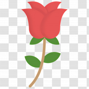 Rose Flower - Red Rose Illustration With Stem And Leaves Transparent PNG
