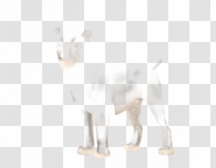 Lion Dog Breed Felidae Non-sporting Group - Nonsporting Transparent PNG