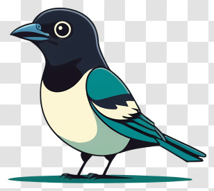 Small Bird - Cartoon Bird Illustration Transparent PNG