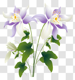 Flower - Purple And White Flowers With Green Foliage Transparent PNG