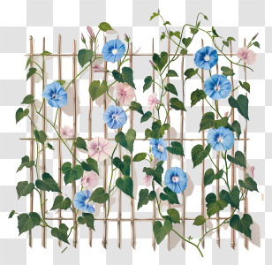 Garden Fence - Flowering Vines On Trellis Transparent PNG