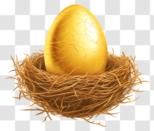 Golden Egg - Golden Egg In A Nest Illustration Transparent PNG
