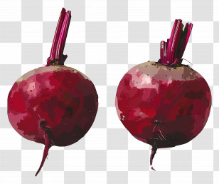 Beetroot - Beetroots Illustration Transparent PNG