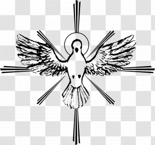 Dove Holy spirit sketch by martinussumbaji Vectors  Illustrations Free  download  Yayimages