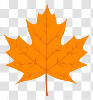 Autumn Maple Leaf - Orange Autumn Maple Leaf Transparent PNG