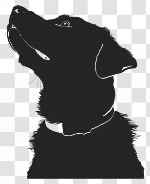 Dog Silhouette - Stylish Black Dog Silhouette Illustration Transparent PNG