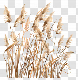 Golden Grass - Golden Grass In The Wind Transparent PNG