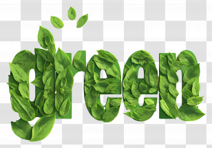 Green Leaf - Green Leaves Text Design Transparent PNG