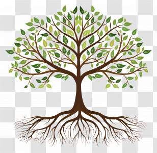 Tree With Roots - Tree With Branches And Roots Illustration Transparent PNG