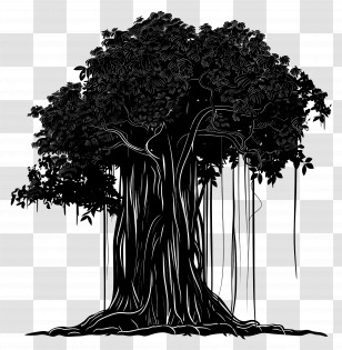 Banyan Tree - Black Banyan Tree Silhouette Illustration Transparent PNG