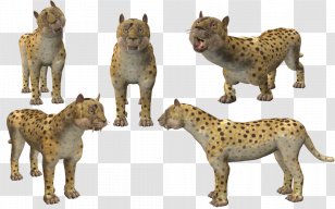 Cheetah Lion Spore Creatures Creature Creator Transparent PNG