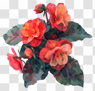 Digital Flower - Illustration Of Red Begonias With Shaded Leaves Transparent PNG
