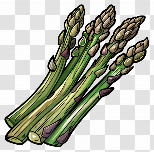 Asparagus - Bunch Of Green Asparagus Stalks Transparent PNG