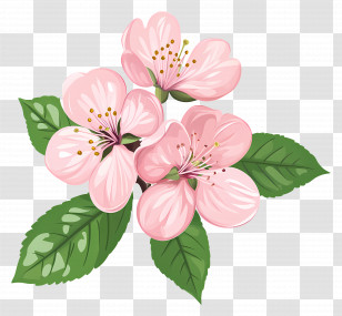 Cherry Blossom Branch - Pink Blooming Flowers Transparent PNG