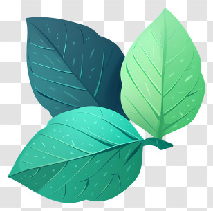 Green Leaf - Colorful Green Leaves Illustration Transparent PNG