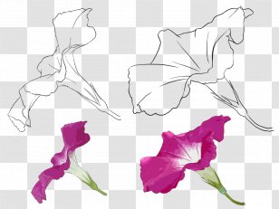 Floral Design Drawing Watercolor Painting - Art - Best Part Transparent PNG