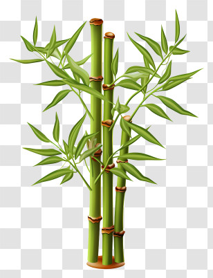 Flat Bamboo Stem - Green Bamboo Plant With Leaves Transparent PNG