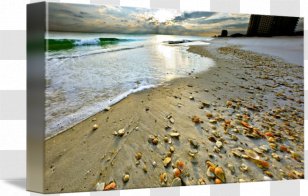 Navarre Shore Seashell Sand Beach - Dune - Sunset Transparent PNG