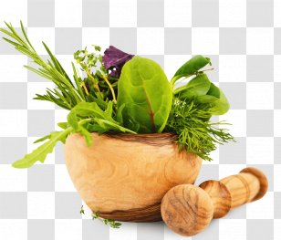 Ayurvedic Background - Ayurveda - Herbaceous Plant Leaf Vegetable Transparent PNG