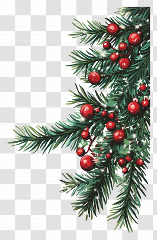 Christmas Corner - Pine Branches With Red Berries For Christmas Decoration Transparent PNG