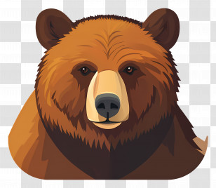 Grizzly Bear - Bear Illustration In Cartoon Style Transparent PNG
